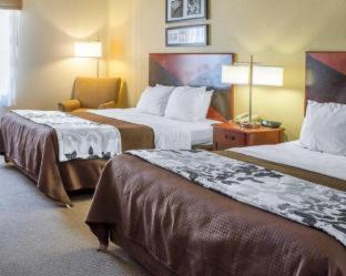 Wingate By Wyndham Near Claytor State Park Hotel 3*