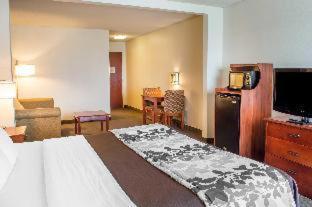 Hotel Wingate By Wyndham Near Claytor State Park 3*