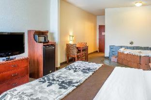 Wingate By Wyndham Near Claytor State Park Hotel