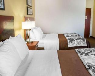 Wingate By Wyndham Near Claytor Lake State Park Hotel 3*